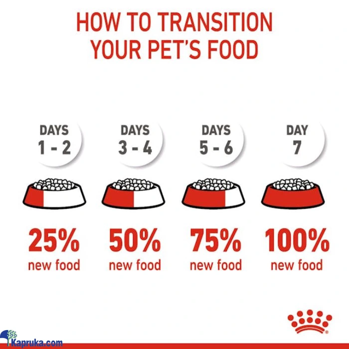 PET HEALTH AND GROOMING ef_pc_petc0v1831p00144 in Sri Lanka