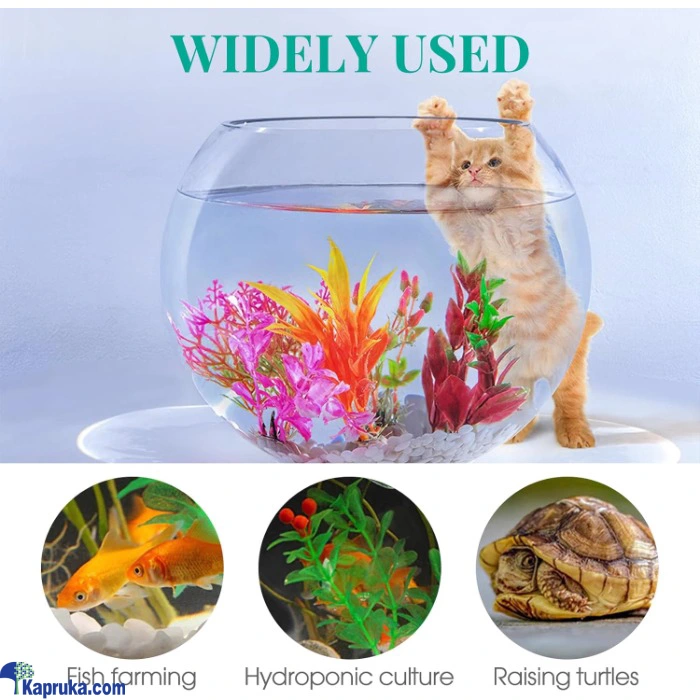 PET ACCESSORIES ef_pc_petc0v1831p00181 in Sri Lanka