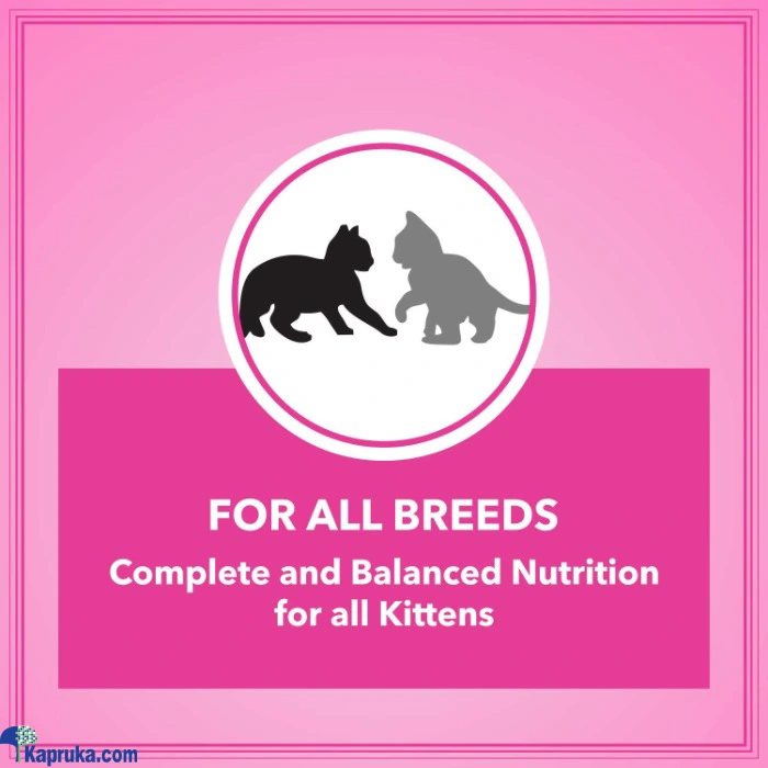 FOOD AND TREATS ef_pc_petc0v1831p00193 in Sri Lanka