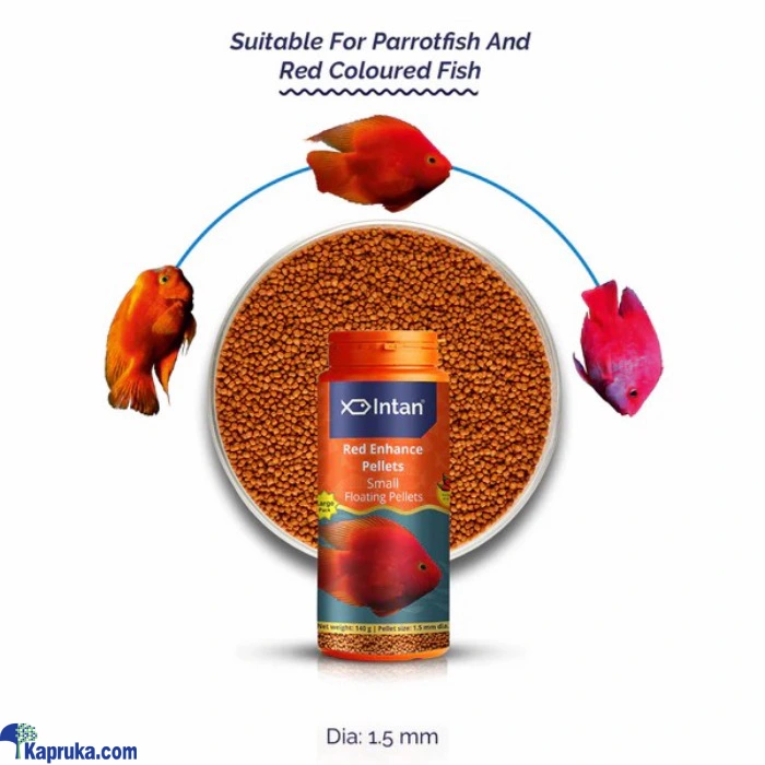 FOOD AND TREATS ef_pc_petc0v1831p00217 in Sri Lanka