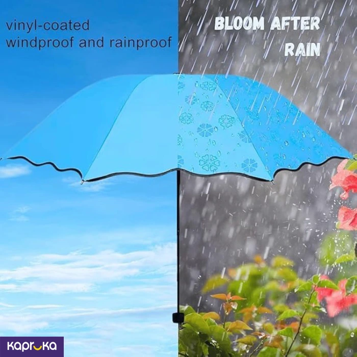 Umbrellas ef_pc_fashion0v2033p00041 in Sri Lanka