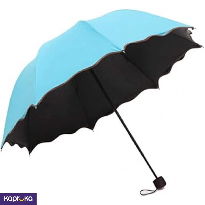 Magic Umbrella Changing Secret Blossoms Occur With Water