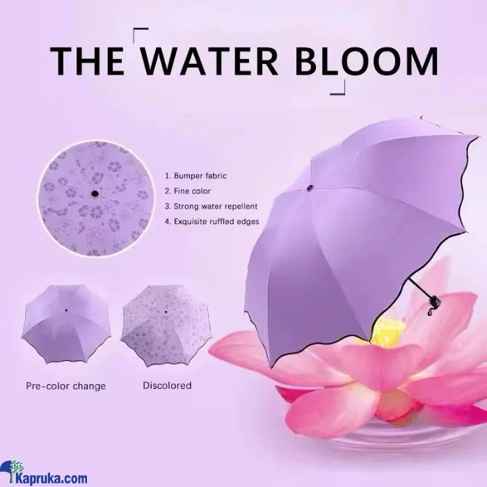 Umbrellas ef_pc_fashion0v2310p00012 in Sri Lanka