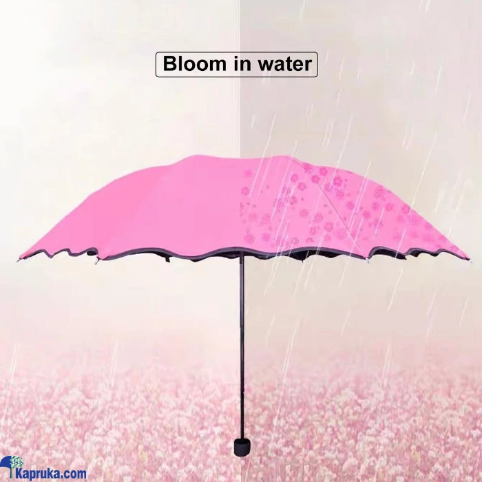 Umbrellas ef_pc_fashion0v2310p00013 in Sri Lanka