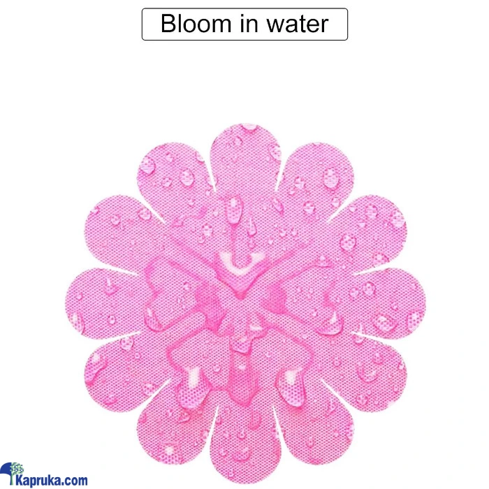 Umbrellas ef_pc_fashion0v2310p00013 in Sri Lanka