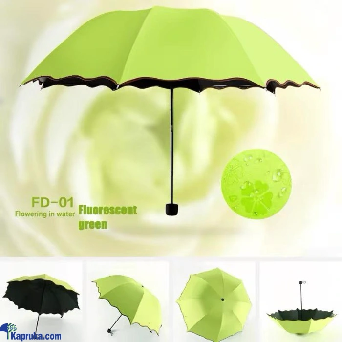 Umbrellas ef_pc_fashion0v2310p00014 in Sri Lanka