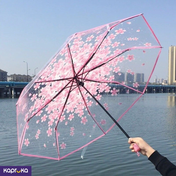 Umbrellas ef_pc_fashion0v2310p00098 in Sri Lanka