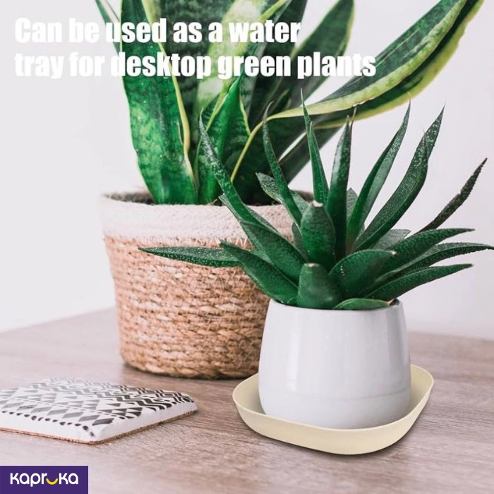 Kitchen and Dining ef_pc_home0v2310p00055 in Sri Lanka