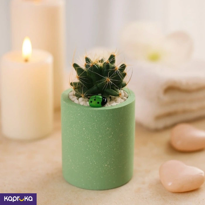 Plants ef_pc_flow0v2383p00014 in Sri Lanka