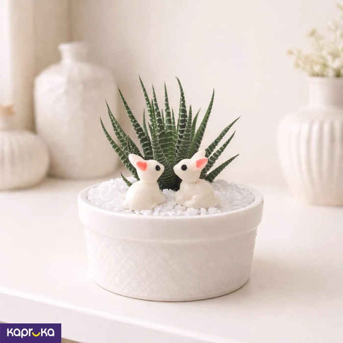 Plants ef_pc_flow0v2383p00035 in Sri Lanka