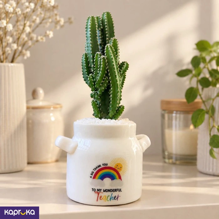 To My Wonderful Teacher Cactus Planter Gift