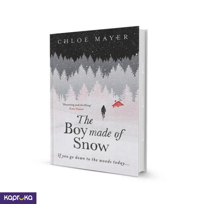 The Boy Made Of Snow By Chloe Mayer