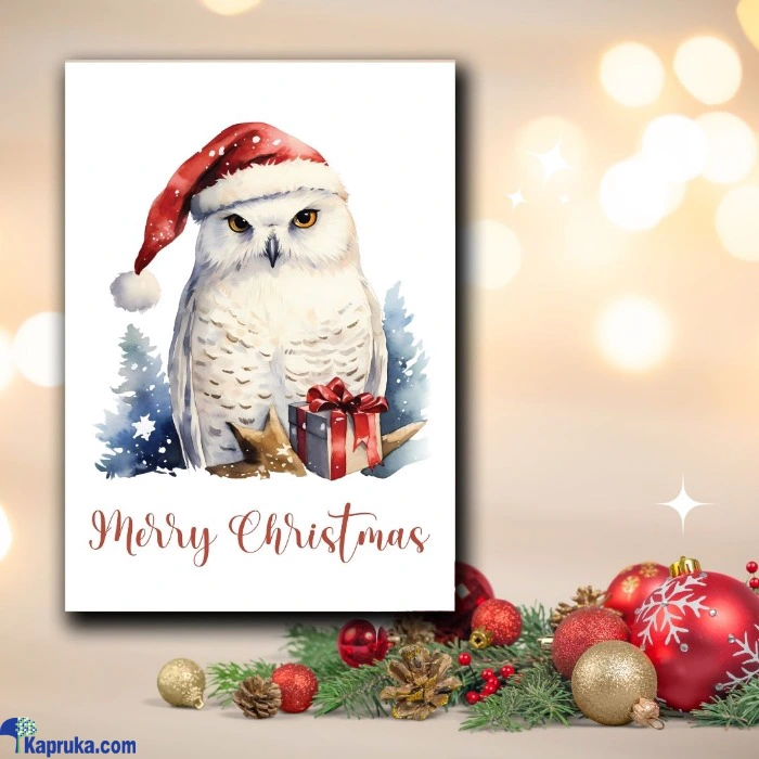 Seasonal Cards ef_pc_gree0v2451p00019 in Sri Lanka