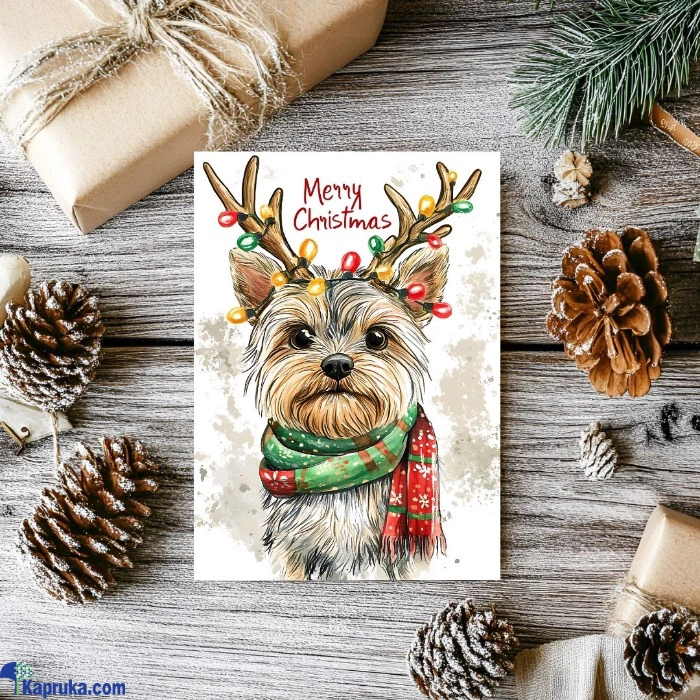 Seasonal Cards ef_pc_gree0v2451p00056 in Sri Lanka