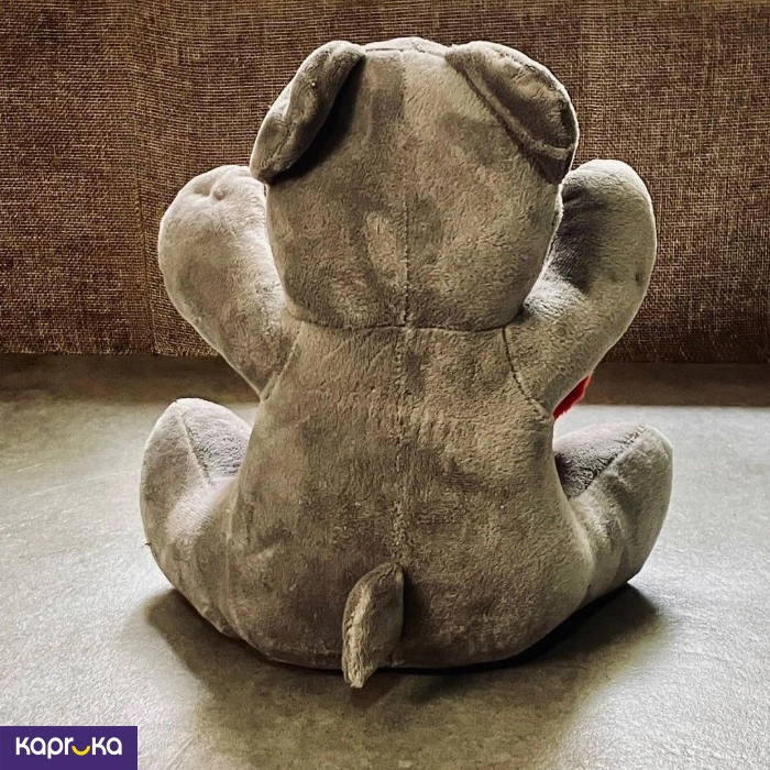 Plush Animals ef_pc_soft0v2505pod00009 in Sri Lanka