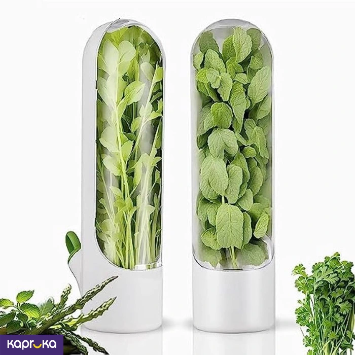 Fridge Organizer And Herb Saver Container 1 Pc