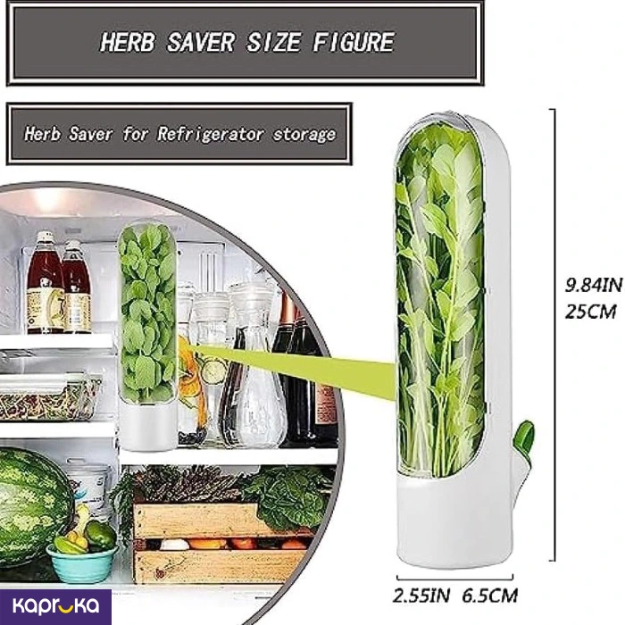 Fridge Organizer And Herb Saver Container 1 Pc