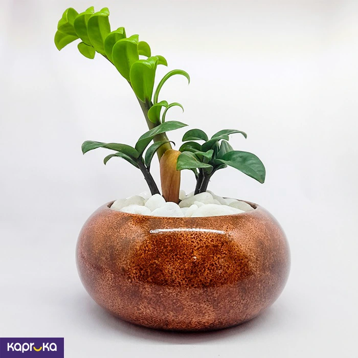 Home Decor and Accessories ef_pc_home0v2762pod00008 in Sri Lanka