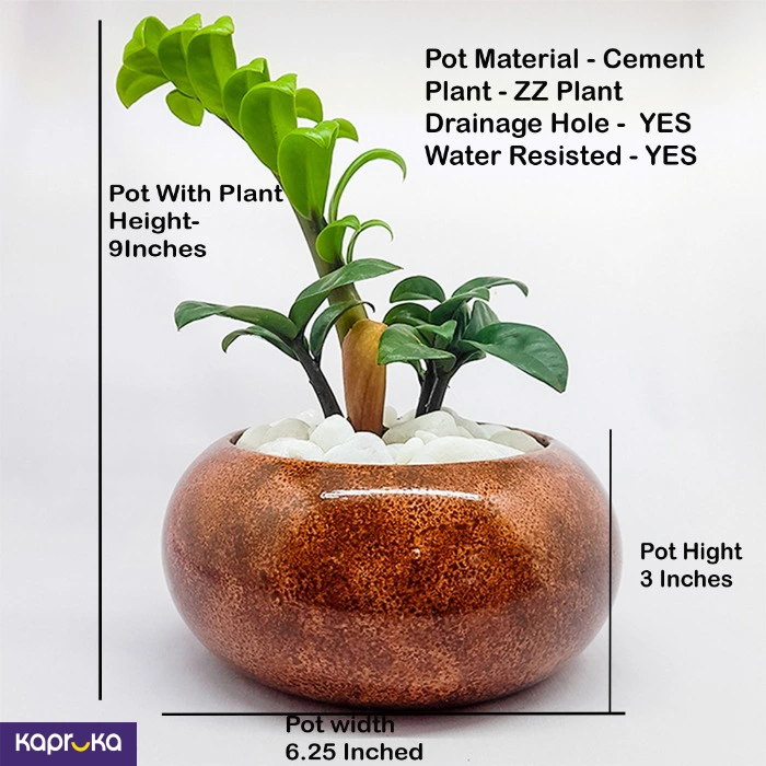 Home Decor and Accessories ef_pc_home0v2762pod00008 in Sri Lanka