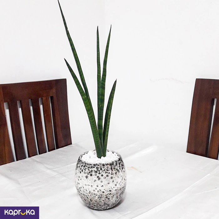 Home Decor and Accessories ef_pc_home0v2762pod00009 in Sri Lanka