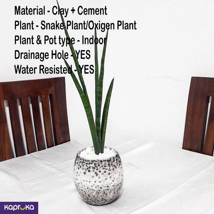 Home Decor and Accessories ef_pc_home0v2762pod00009 in Sri Lanka