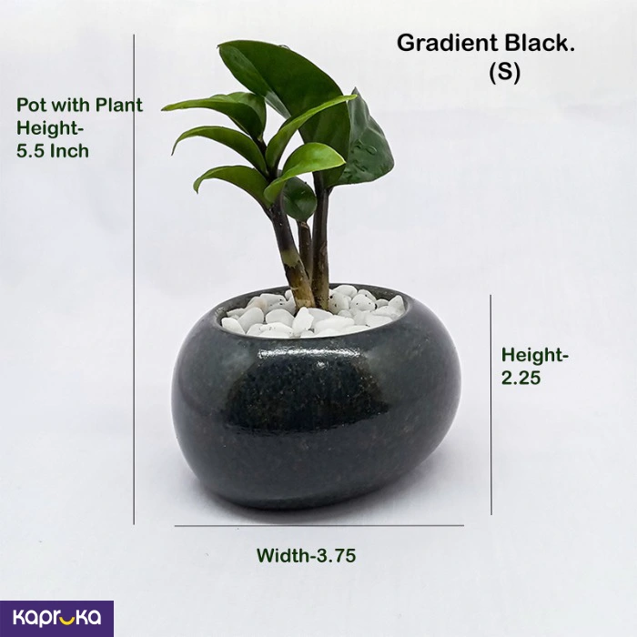 Home Decor and Accessories ef_pc_home0v2762pod00026 in Sri Lanka