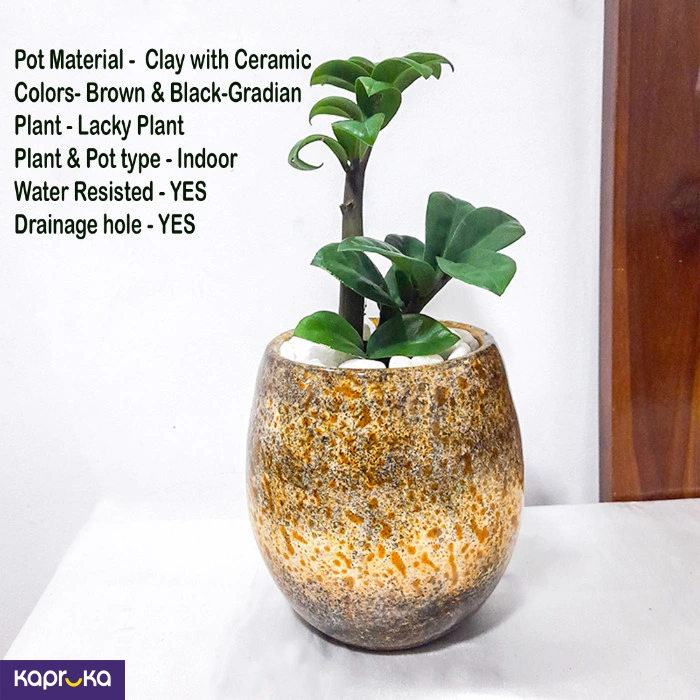 Home Decor and Accessories ef_pc_home0v2762pod00028 in Sri Lanka