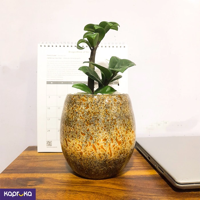 Home Decor and Accessories ef_pc_home0v2762pod00028 in Sri Lanka