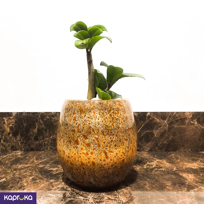 Home Decor and Accessories ef_pc_home0v2762pod00028 in Sri Lanka