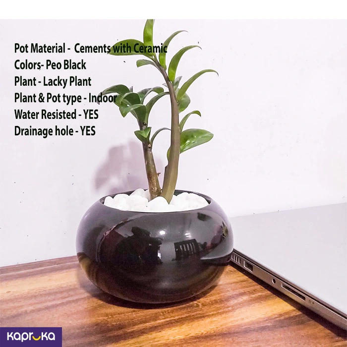 Home Decor and Accessories ef_pc_home0v2762pod00034 in Sri Lanka