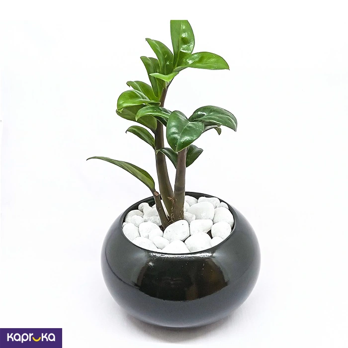 Home Decor and Accessories ef_pc_home0v2762pod00034 in Sri Lanka