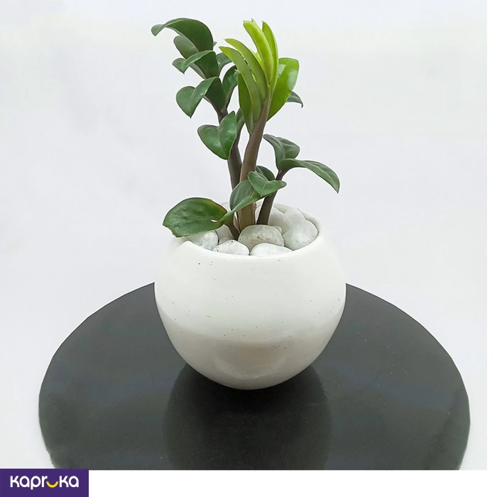 Home Decor and Accessories ef_pc_home0v2762pod00036 in Sri Lanka