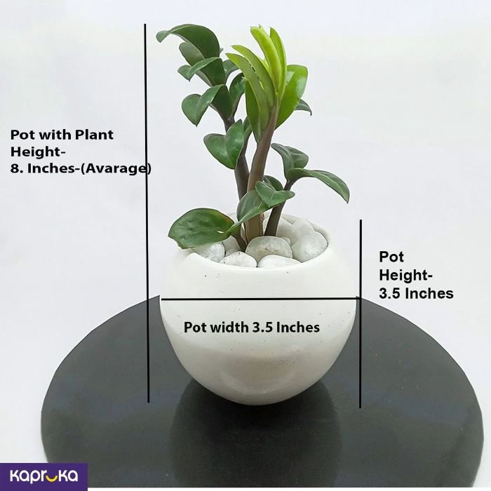 Home Decor and Accessories ef_pc_home0v2762pod00036 in Sri Lanka