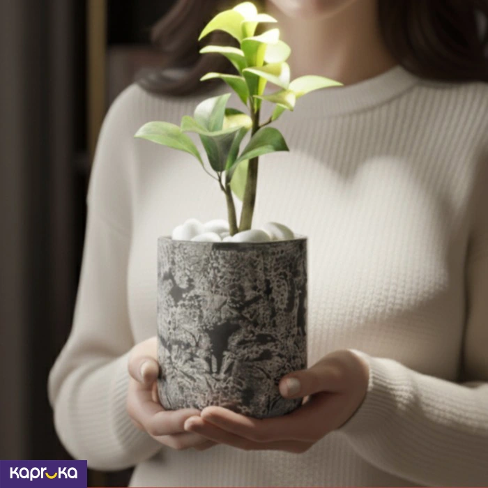 Home Decor and Accessories ef_pc_home0v2762pod00039 in Sri Lanka