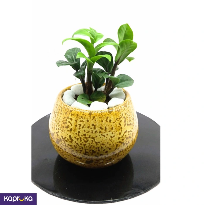 Home Decor and Accessories ef_pc_home0v2762pod00040 in Sri Lanka