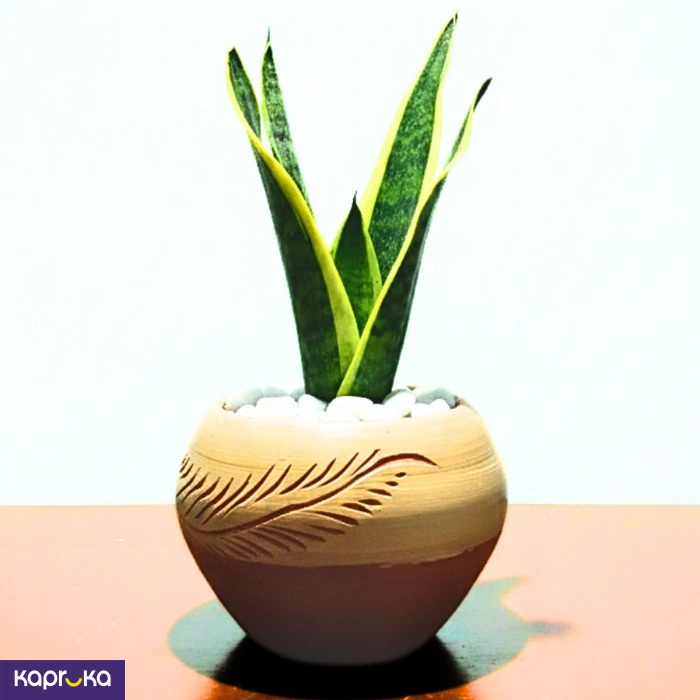 Home Decor and Accessories ef_pc_home0v2762pod00059 in Sri Lanka