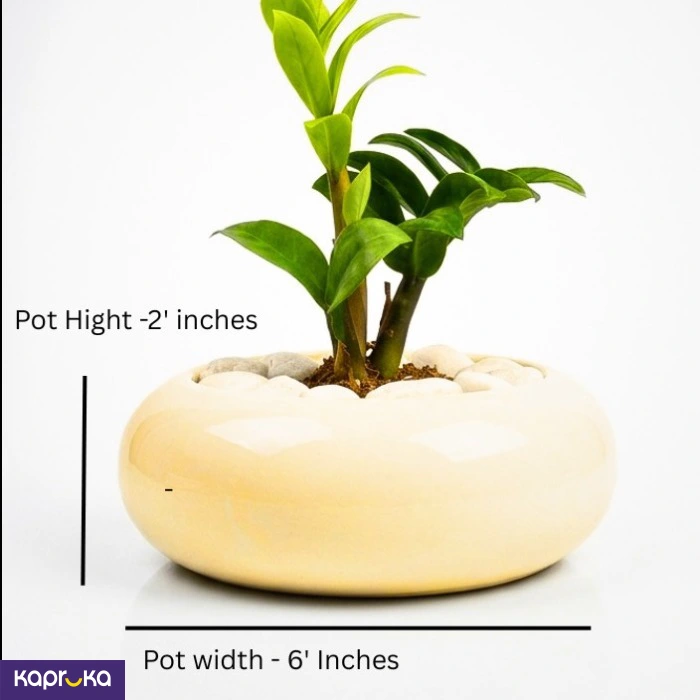 Home Decor and Accessories ef_pc_home0v2762pod00060 in Sri Lanka