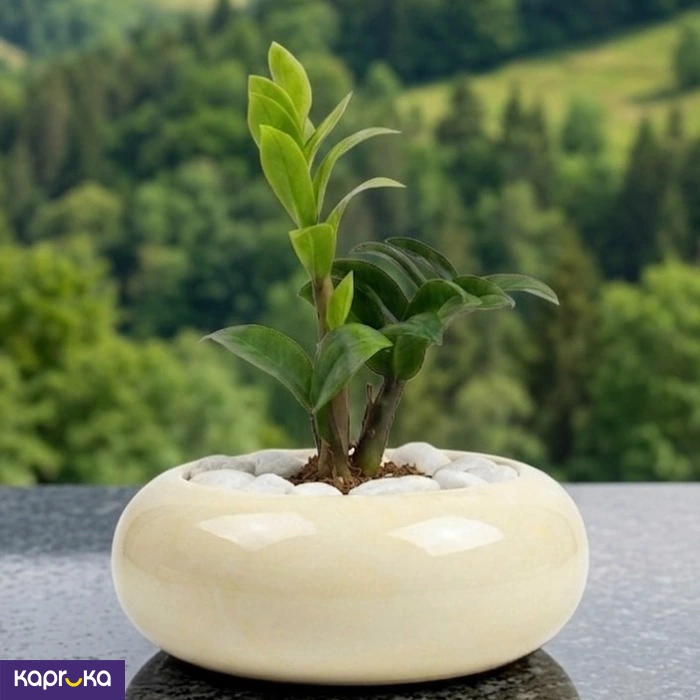 Home Decor and Accessories ef_pc_home0v2762pod00060 in Sri Lanka