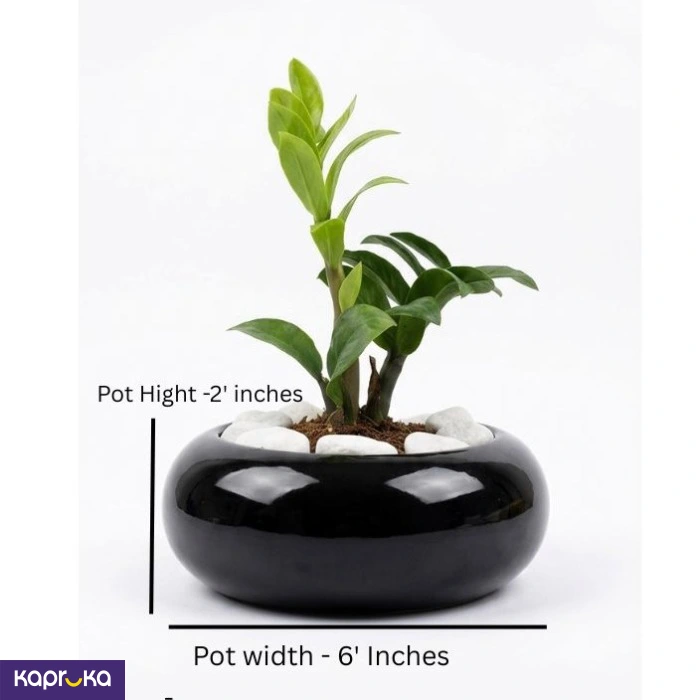 Home Decor and Accessories ef_pc_home0v2762pod00061 in Sri Lanka