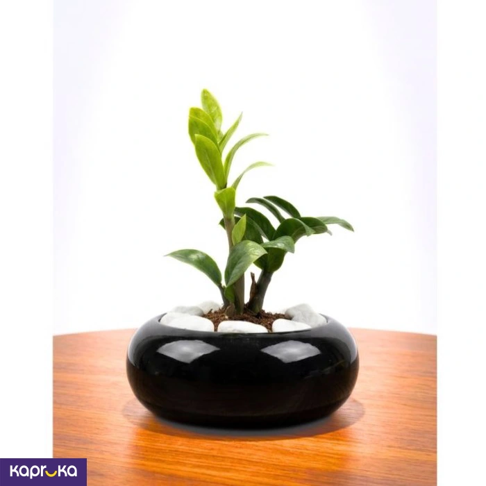 Home Decor and Accessories ef_pc_home0v2762pod00061 in Sri Lanka