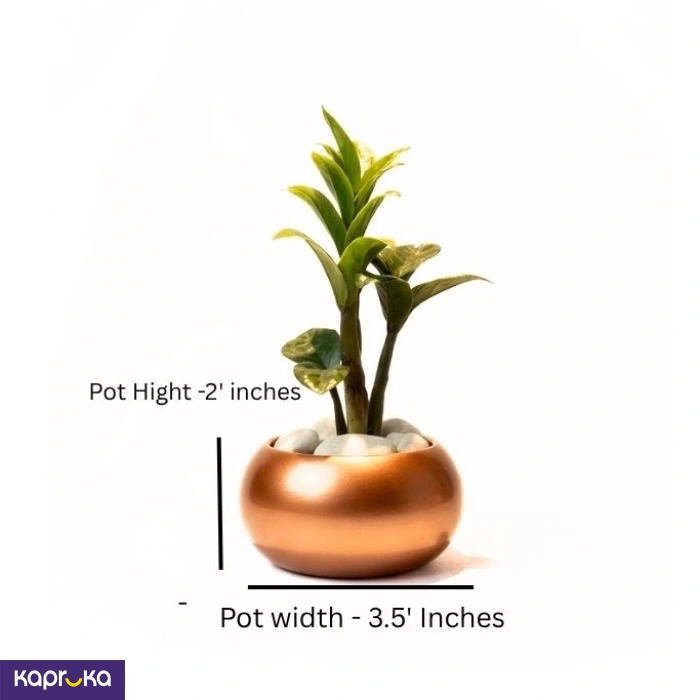 Home Decor and Accessories ef_pc_home0v2762pod00062 in Sri Lanka