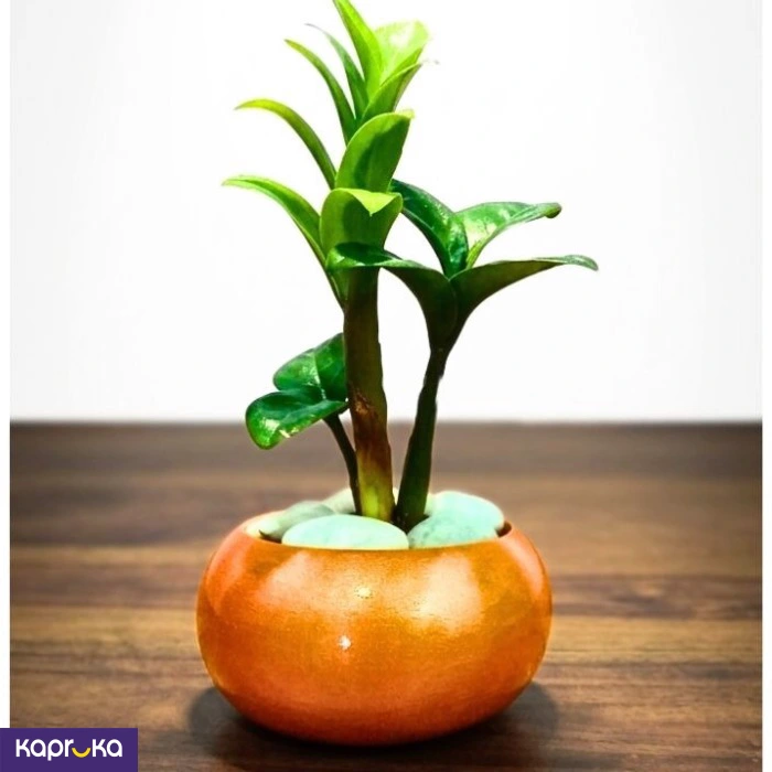 Home Decor and Accessories ef_pc_home0v2762pod00062 in Sri Lanka