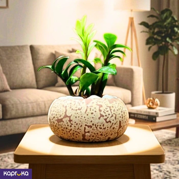 Home Decor and Accessories ef_pc_home0v2762pod00063 in Sri Lanka