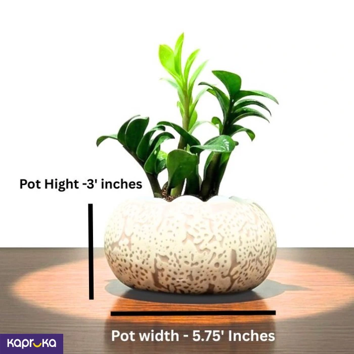 Home Decor and Accessories ef_pc_home0v2762pod00063 in Sri Lanka