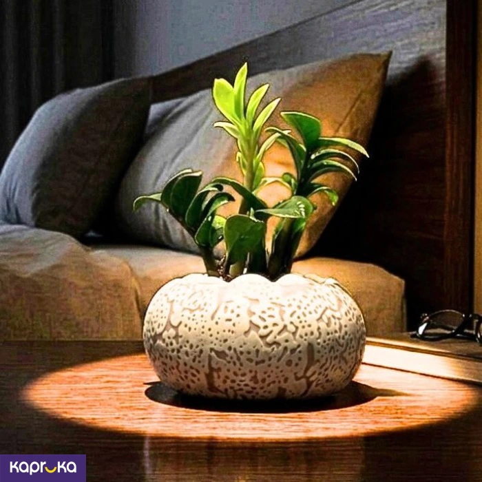 Home Decor and Accessories ef_pc_home0v2762pod00063 in Sri Lanka