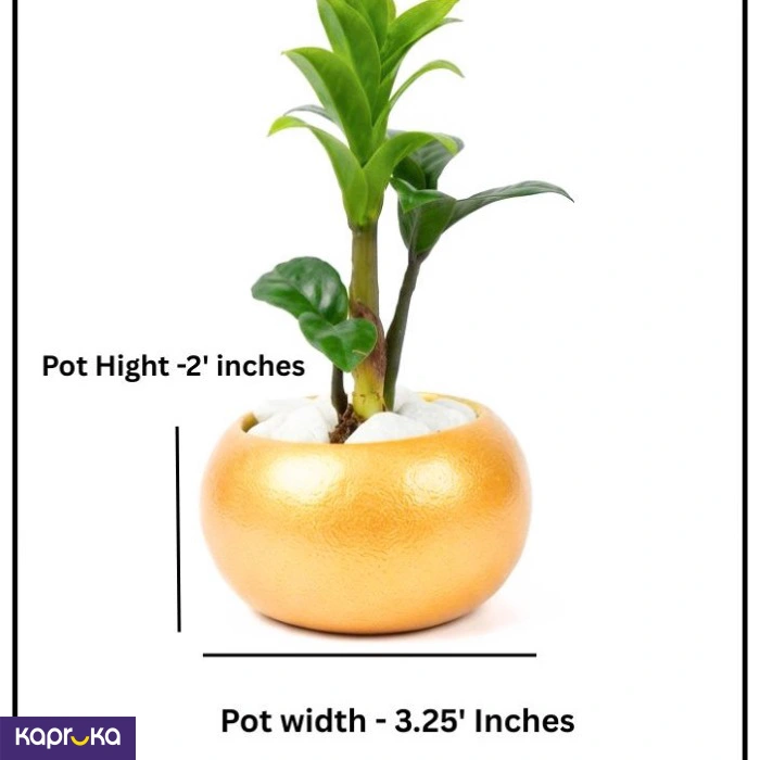 Home Decor and Accessories ef_pc_home0v2762pod00064 in Sri Lanka