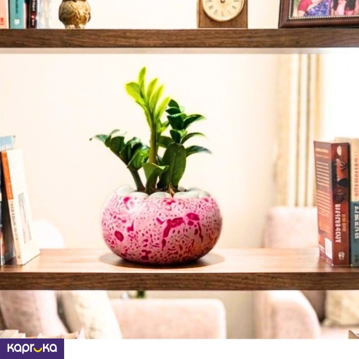 Home Decor and Accessories ef_pc_home0v2762pod00065 in Sri Lanka