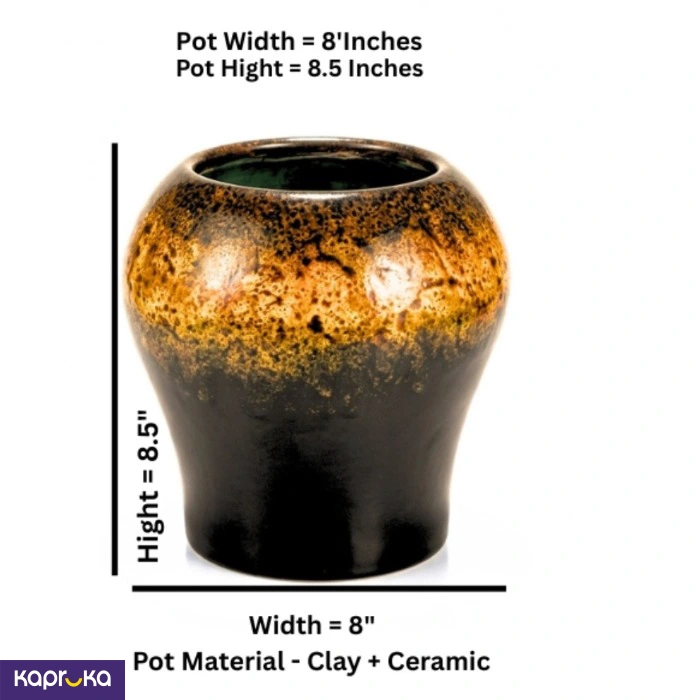 Home Decor and Accessories EF_PC_HOME0V2762POD00073 in Sri Lanka