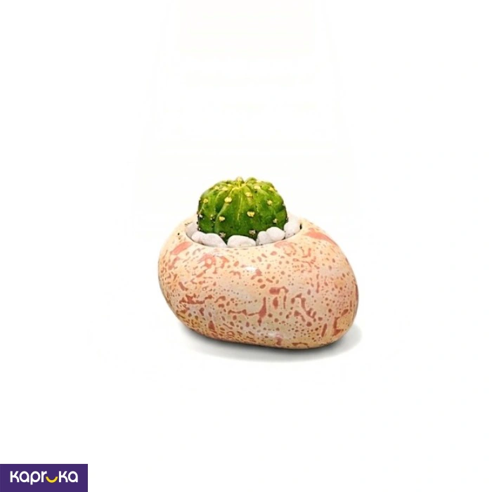 Home Decor and Accessories ef_pc_home0v2762pod00079 in Sri Lanka