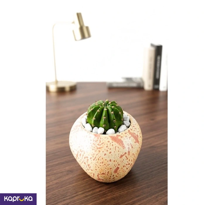 Home Decor and Accessories ef_pc_home0v2762pod00079 in Sri Lanka